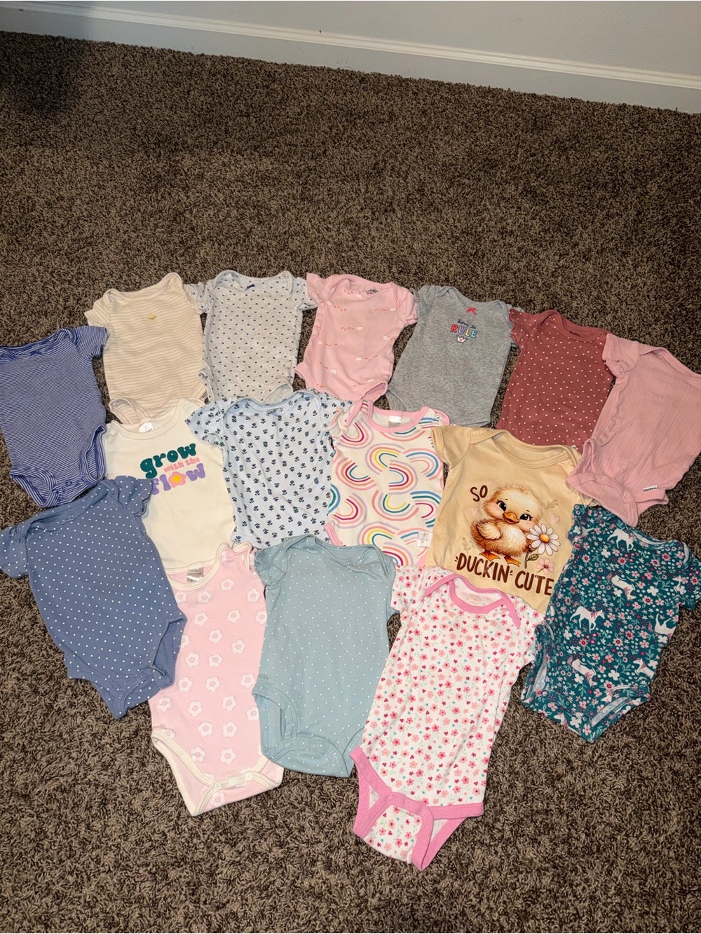 Baby Girls Pink and Pastel Mixed One-Piece Bodysuit (Assorted Designs)